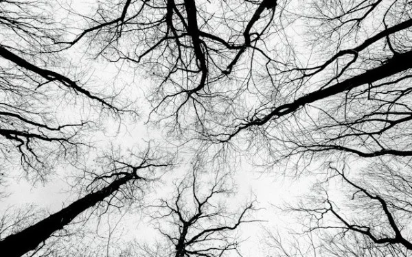 Mitigating Retry Storms: The Role of Retry Budgets in Distributed Systems