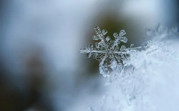 Kafka-Compatible Ingestion: Databricks and Snowflake Embrace a Unified Streaming Approach